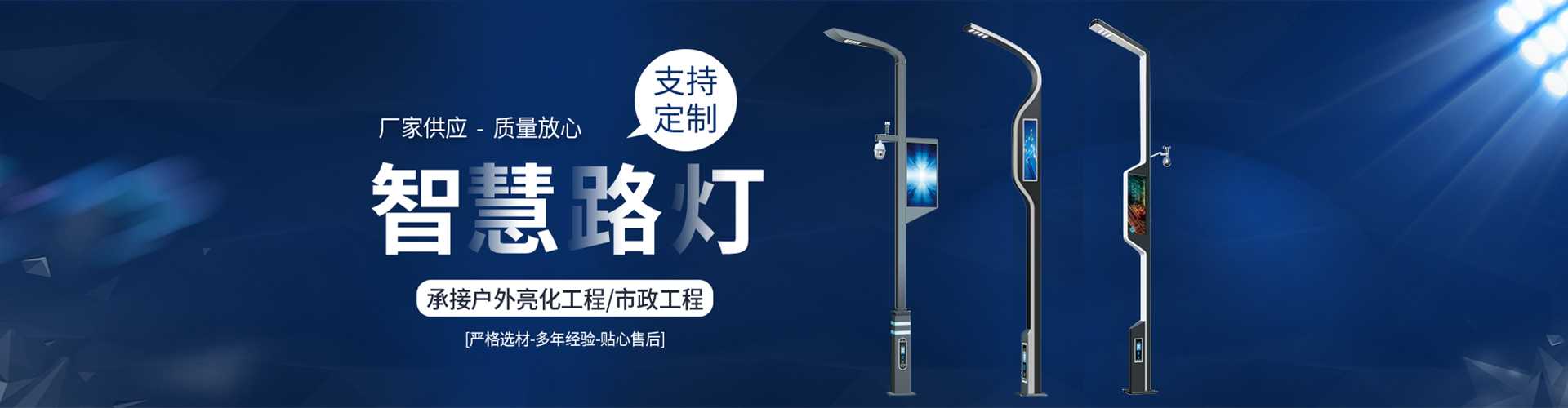 阜阳市太阳能路灯定制厂家