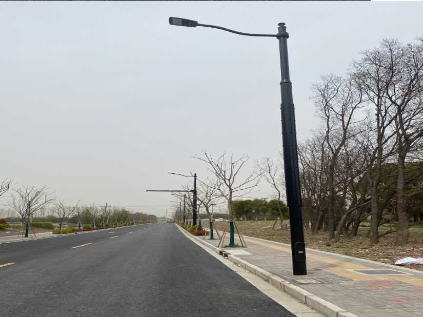 阜阳市上海综合杆 太阳能路灯工程